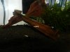DSCN4079.JPG