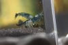 Black Rili - 02.jpg