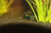 Black Rili - 03.jpg