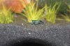 Black Rili - 07.jpg