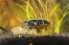 Black Rili - 10.jpg
