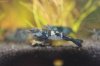 Black Rili - 13.jpg