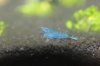 Black Rili - 24.jpg