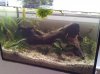 20130915_142845.jpg