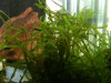 DSCN4188.JPG