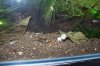 100_7320.JPG