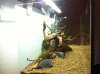 IMG_0307.JPG IMG_0307.JPG