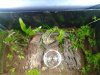 20130929_114301_resized.jpg
