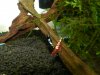 DSCN4376.JPG