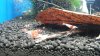 20131003_115542.jpg