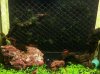 2012-05-10 22.28.05k.jpg