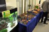 _DSC0164.JPG _DSC0164.JPG