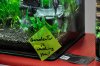_DSC0154.JPG