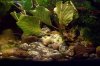 100_7556.jpg