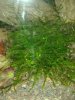 20131008_120917.jpg 20131008_120917.jpg