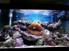 20131013_130923.jpg