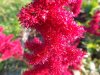 DSCF0123.jpg