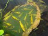20130922_173058.jpg 20130922_173058.jpg