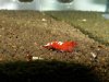 DSCN4438.JPG