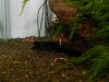 DSCN4433.JPG