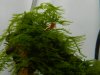 DSCN4458.JPG