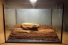 20131022 mit Sand.jpg