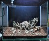 Aquascape 13l 002.JPG