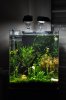 LED Lampe 001.JPG