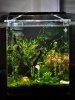 LED Lampe 009.JPG