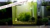 PRL-shrimp-tank-setup-12.jpg