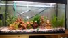 20131104_132135.jpg