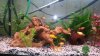 20131104_132126.jpg
