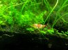 20131106_210049.jpg