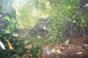 100_8166.JPG