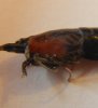 DSCN1791.jpg DSCN1791.jpg