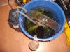 DSCF0537.JPG