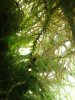 DSC03548.JPG