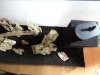 DSC04062.JPG