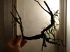 DSC03959.JPG