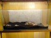 DSC03958.JPG