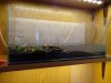 DSC03963.JPG