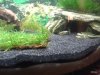 2013-12-10 23.28.43.jpg