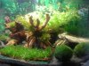 2013-12-14 12.48.23.jpg
