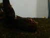 DSCN4661.JPG