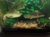 DSC07442.JPG