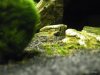 DSCF0006.JPG