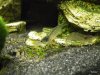 DSCF0028.JPG