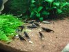 DSC07555.JPG
