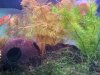 P_20131218_124834.jpg