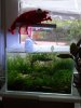 DSC04453.JPG
